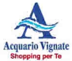 Formel-2013-Simulatoren - Einkaufszentrum Acquario Vignate - Tour XNUMX