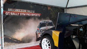 Simulatore di Rally Professionale con scocca, volante, pedali